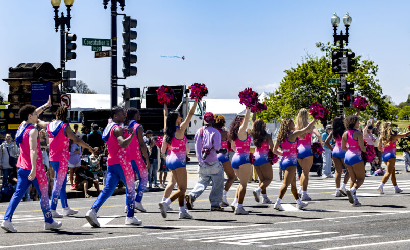 Pink Skies and High Spirits: The 2026 Cherry Blossom Parade