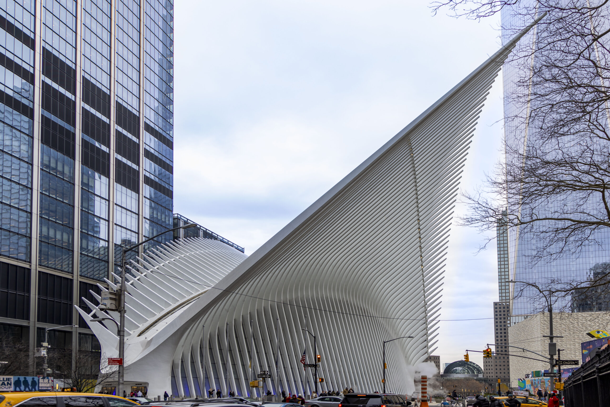 The Oculus: A Sanctuary of Light and Style in Lower Manhattan